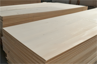 1220*2440mm POPLAR PLYWOOD B